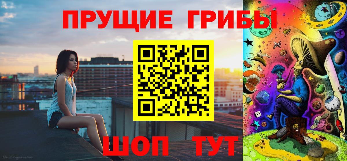 Стрежевой  Псилоцибиновые грибы Psilocybine cubensis  Вход с VPN  Псилоцибиновые грибы прущие грибы 