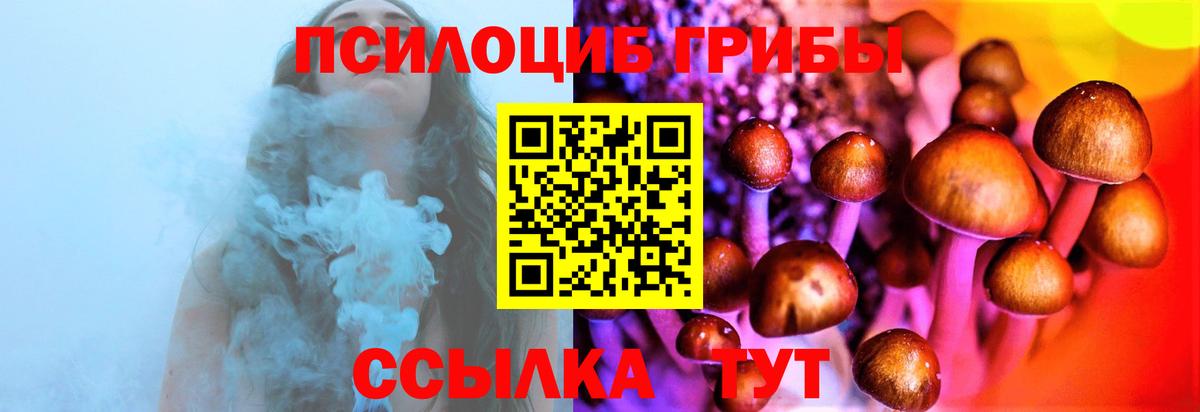 Галлюциногенные грибы Cubensis Стрежевой